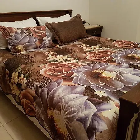 Lotus Apartment